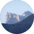 Philippe Truffier Avatar