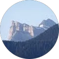 Philippe Truffier Avatar